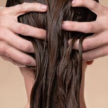 Load image into Gallery viewer, KITSCH - Volumizing Rosemary &amp; Biotin Conditioner